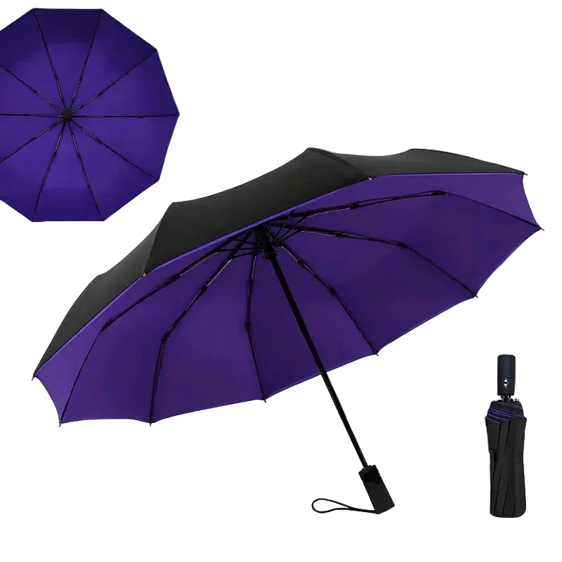 Double Layer Windproof Auto Open & Close Umbrella – 10-Rib Triple Fold