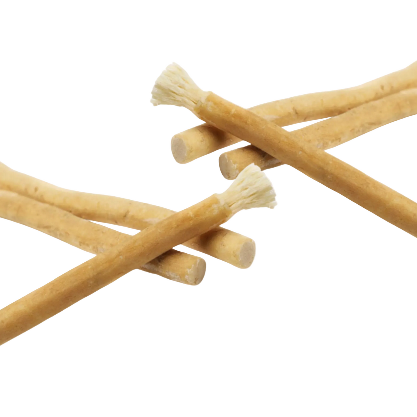 100% Pure Miswak Toothbrush (12-Pack)