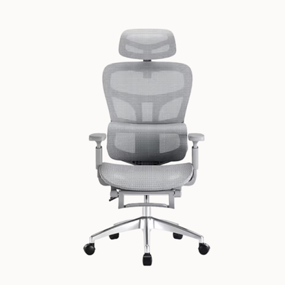 Ergonomic Computer Chair
