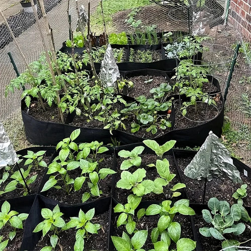 Extra Large 8-Grid Elevated Garden Bed | Durable Raised Planting Box for Vegetables & Flowers