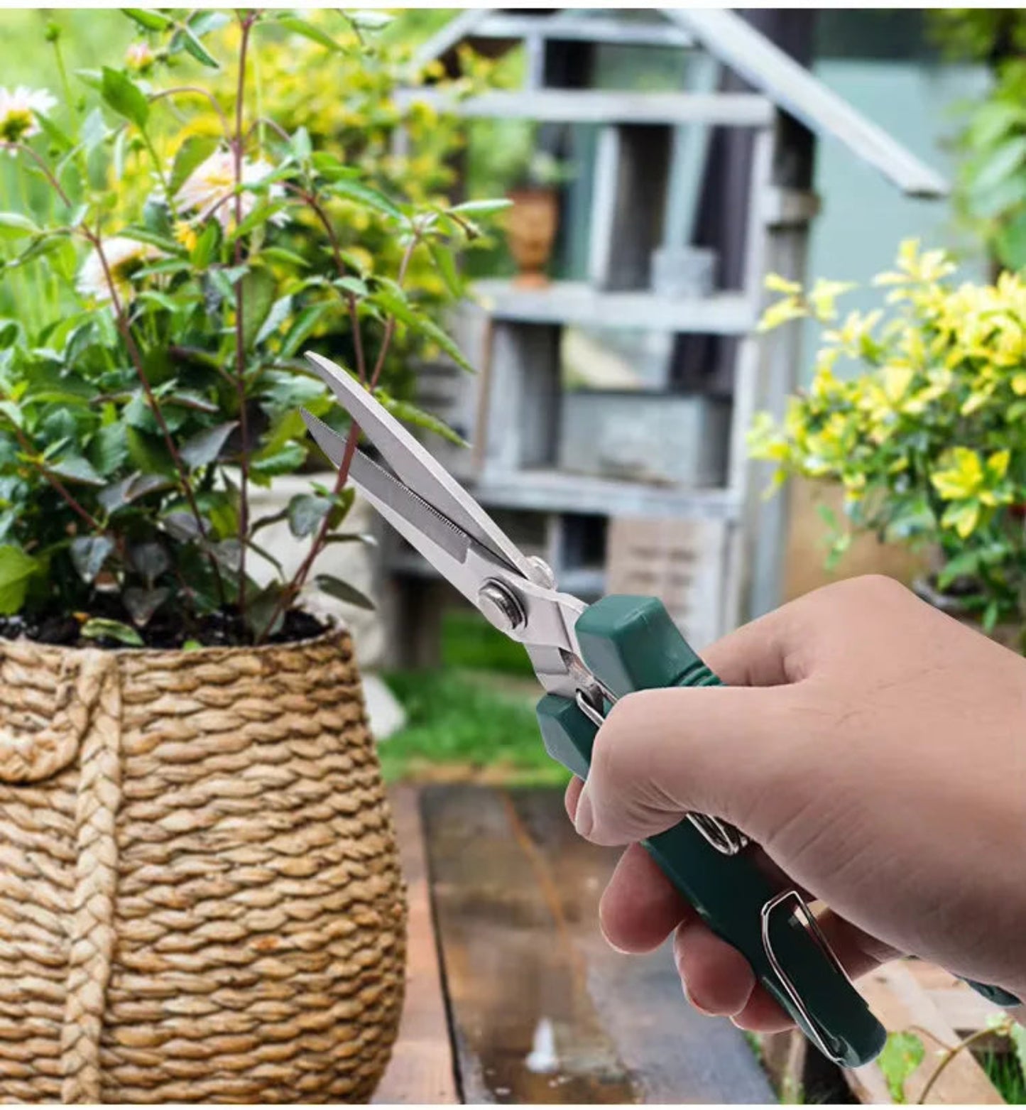 Stainless Steel Pruning Shears with Non-Slip Handle | Garden Scissors for Bonsai & Plant Trimming