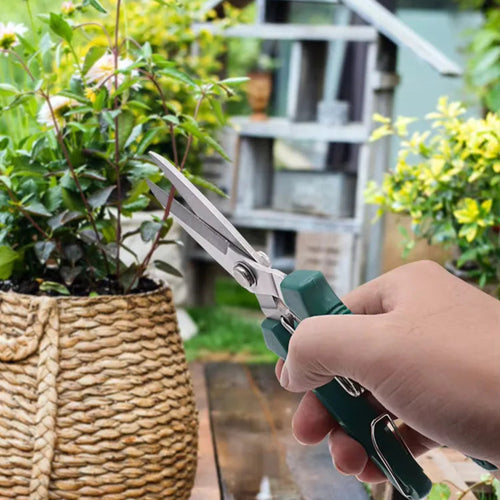 Stainless Steel Pruning Shears with Non-Slip Handle | Garden Scissors for Bonsai & Plant Trimming