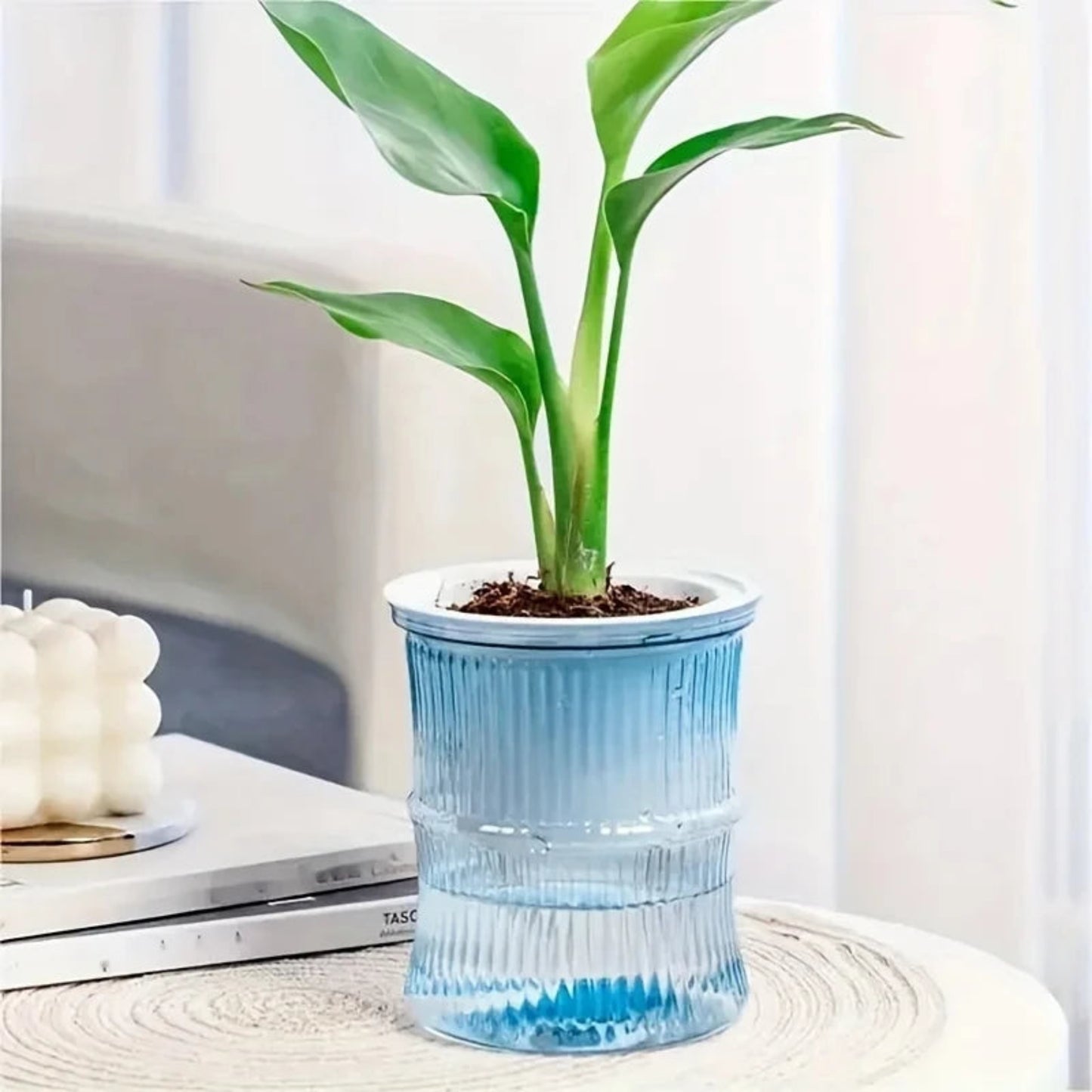 Self-Watering Hydroponic Planter | Double Layer Transparent Automatic Water-Absorbing Flower Pot