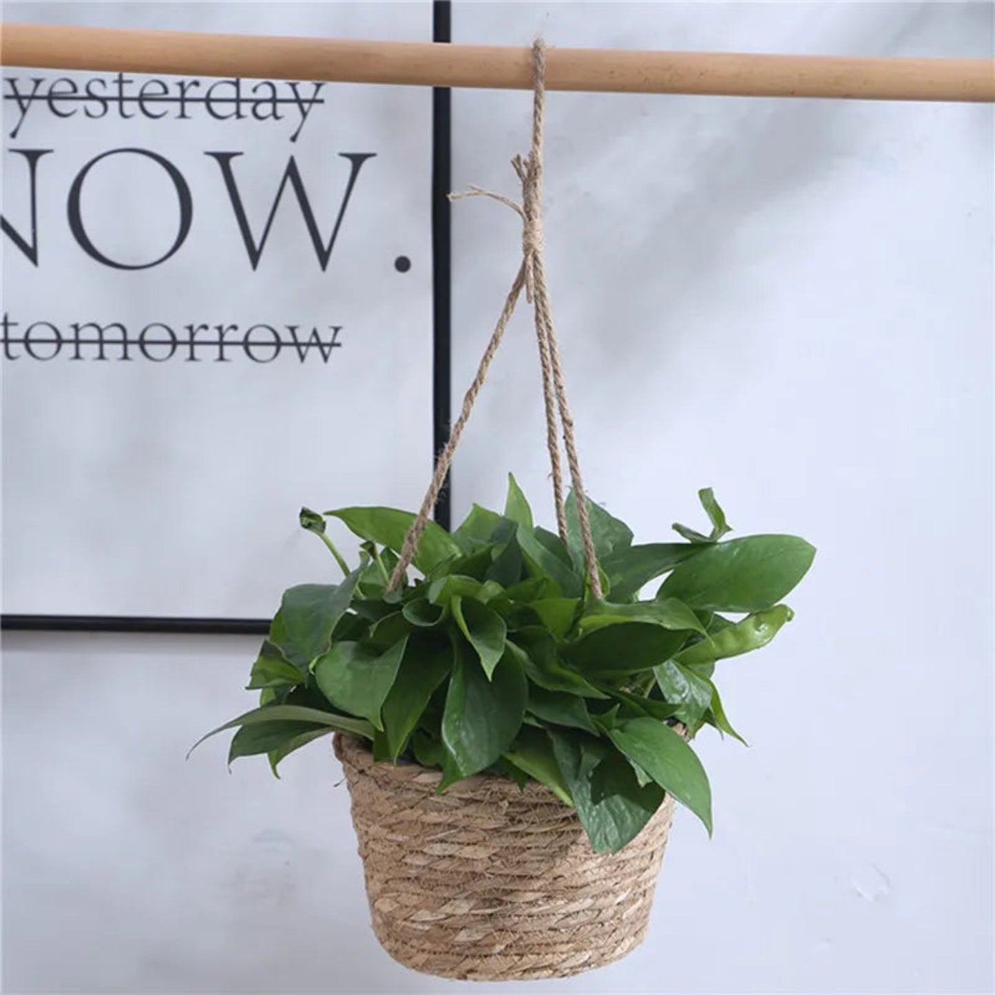 Hanging Planter Basket | Jute Rope Woven Plant Hanger for Indoor & Outdoor Decor