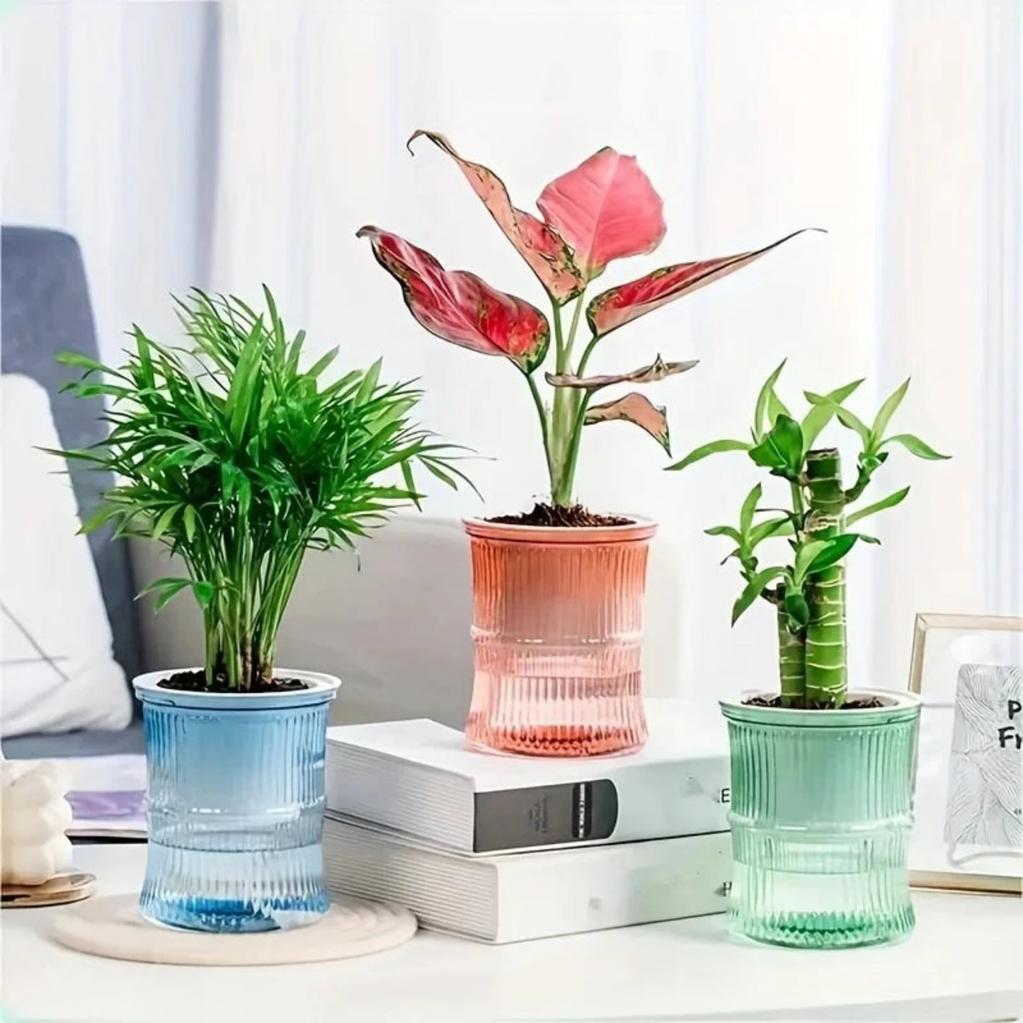 Self-Watering Hydroponic Planter | Double Layer Transparent Automatic Water-Absorbing Flower Pot