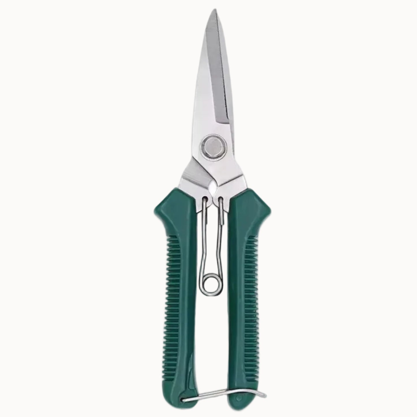 Stainless Steel Pruning Shears with Non-Slip Handle | Garden Scissors for Bonsai & Plant Trimming