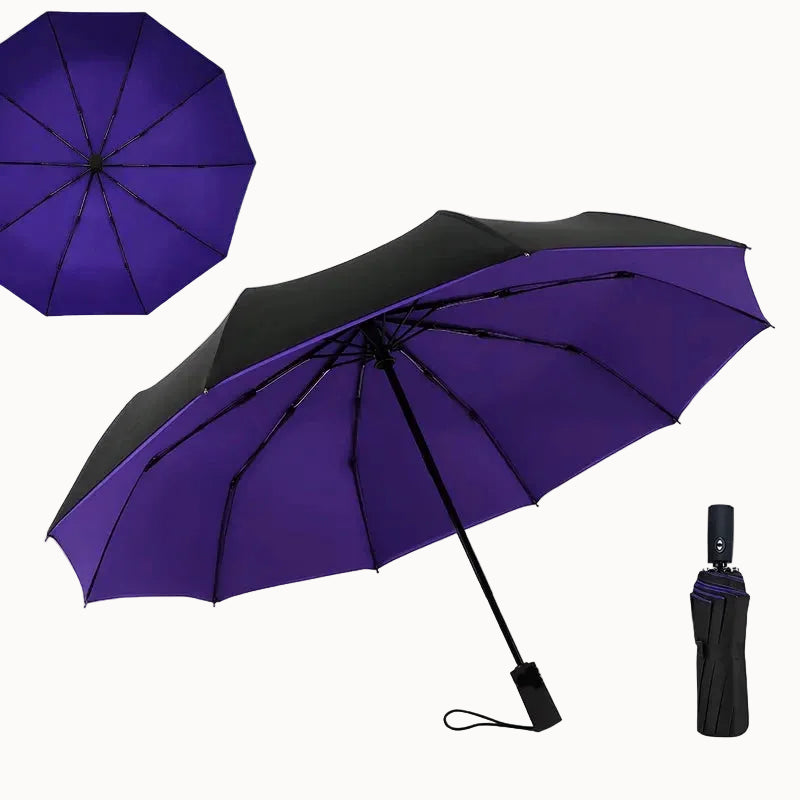 Double Layer Windproof Auto Open & Close Umbrella – 10-Rib Triple Fold