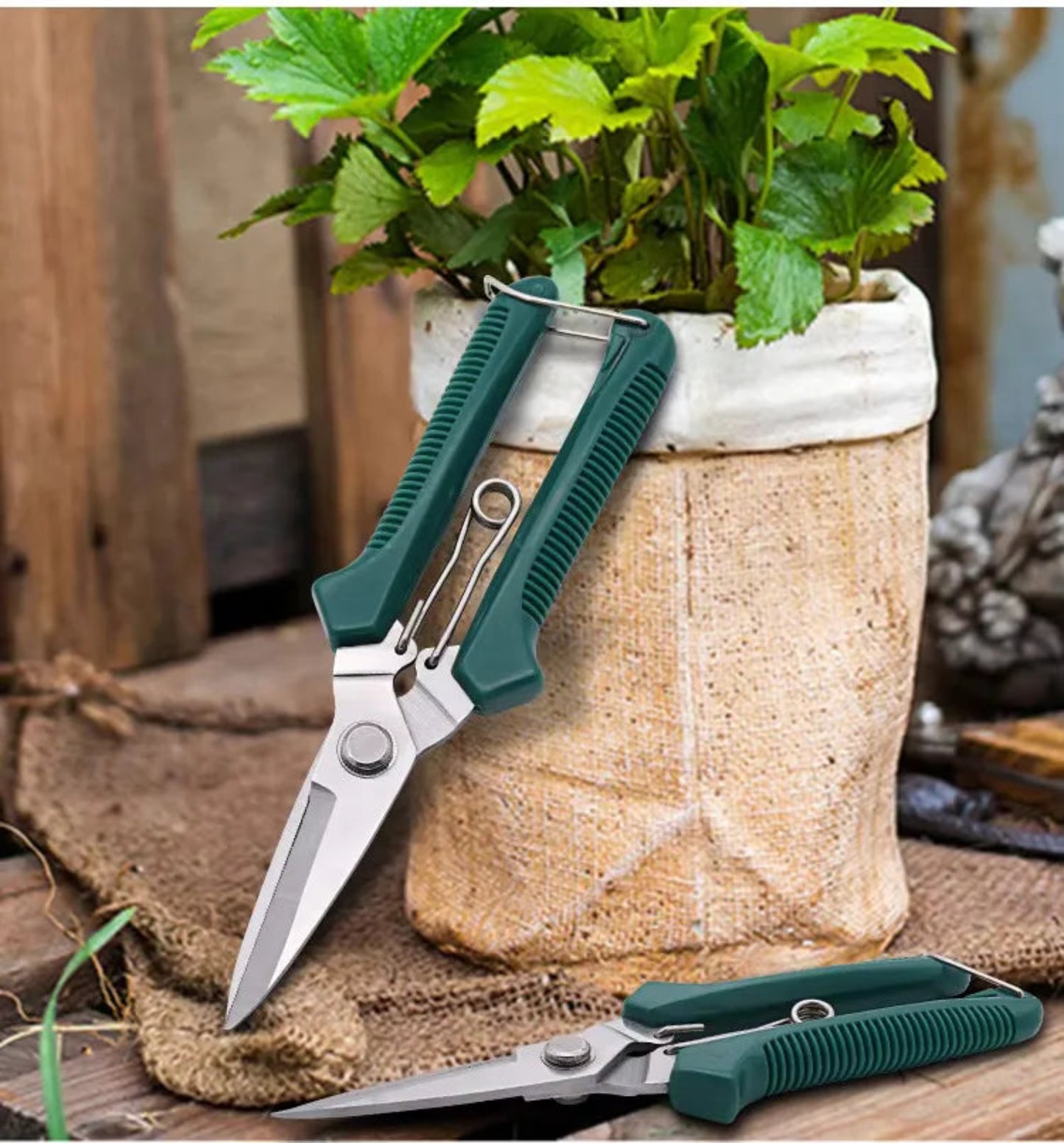 Stainless Steel Pruning Shears with Non-Slip Handle | Garden Scissors for Bonsai & Plant Trimming