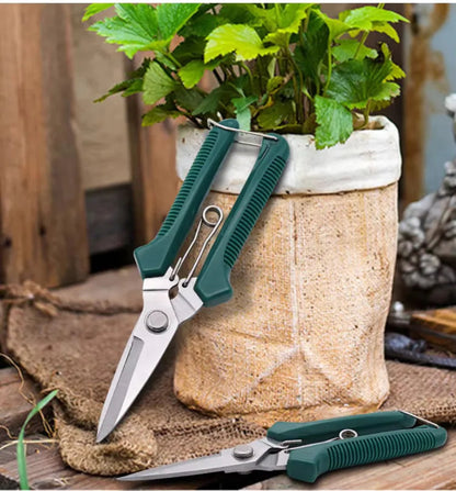 Stainless Steel Pruning Shears with Non-Slip Handle | Garden Scissors for Bonsai & Plant Trimming