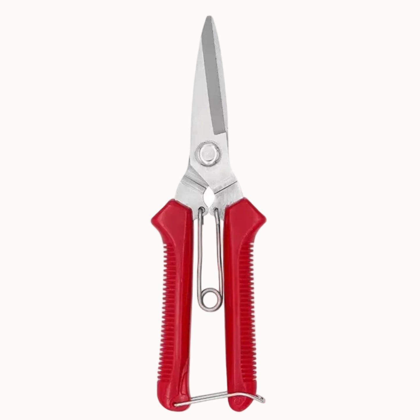 Stainless Steel Pruning Shears with Non-Slip Handle | Garden Scissors for Bonsai & Plant Trimming