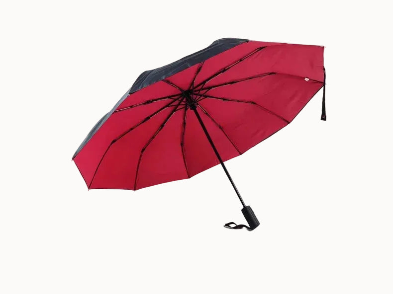 Double Layer Windproof Auto Open & Close Umbrella – 10-Rib Triple Fold