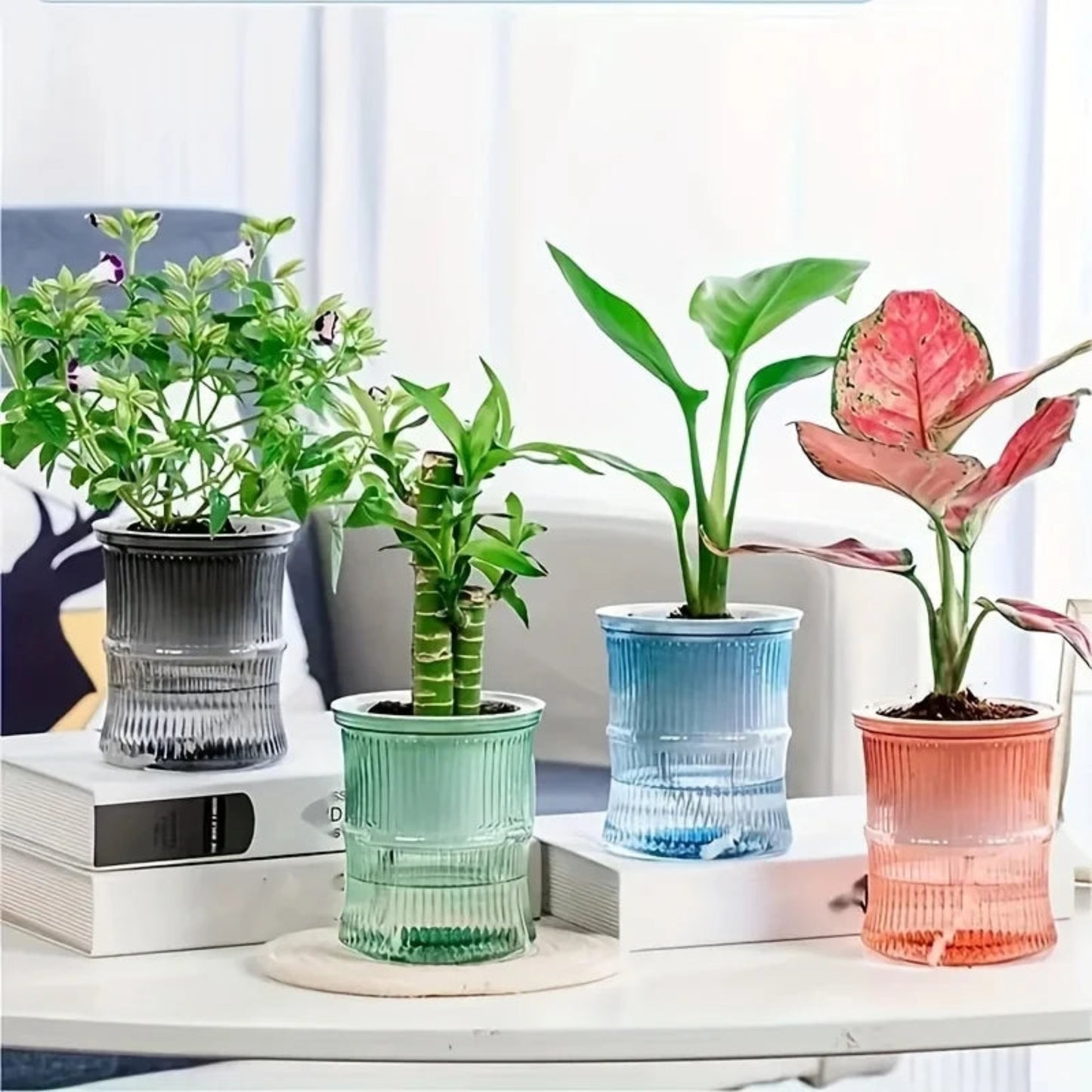 Self-Watering Hydroponic Planter | Double Layer Transparent Automatic Water-Absorbing Flower Pot