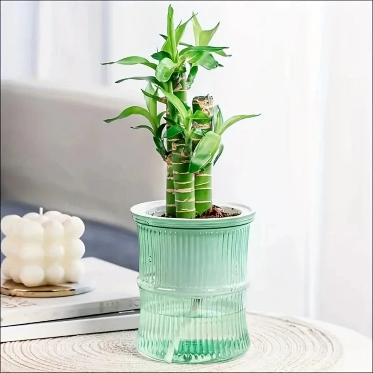 Self-Watering Hydroponic Planter | Double Layer Transparent Automatic Water-Absorbing Flower Pot