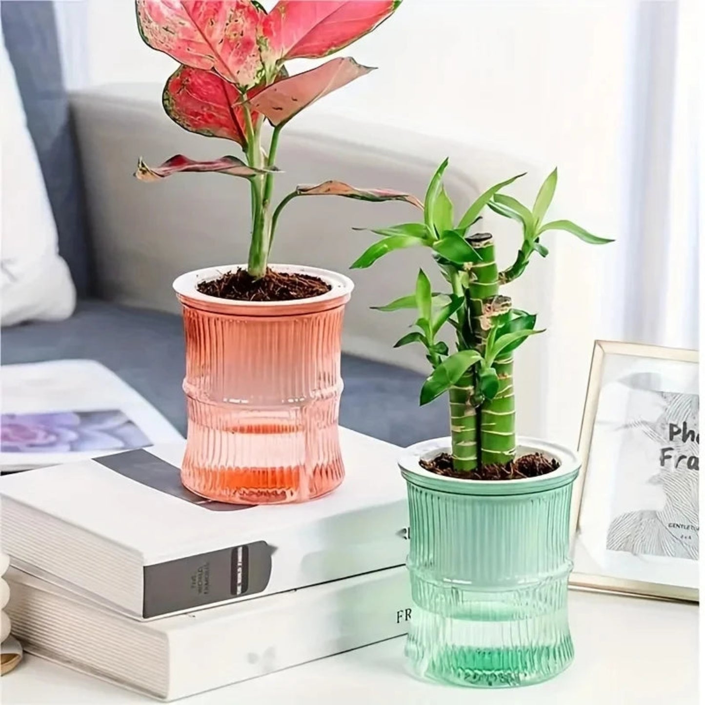 Self-Watering Hydroponic Planter | Double Layer Transparent Automatic Water-Absorbing Flower Pot