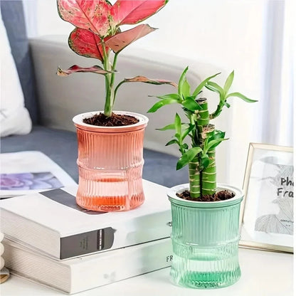 Self-Watering Hydroponic Planter | Double Layer Transparent Automatic Water-Absorbing Flower Pot