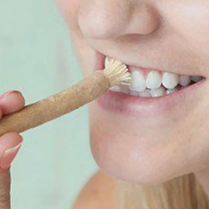100% Pure Miswak Toothbrush (12-Pack)