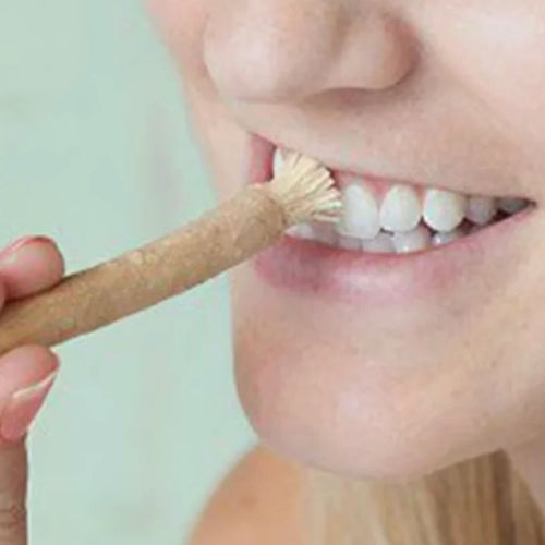 100% Pure Miswak Toothbrush (12-Pack)