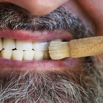 100% Pure Miswak Toothbrush (12-Pack)